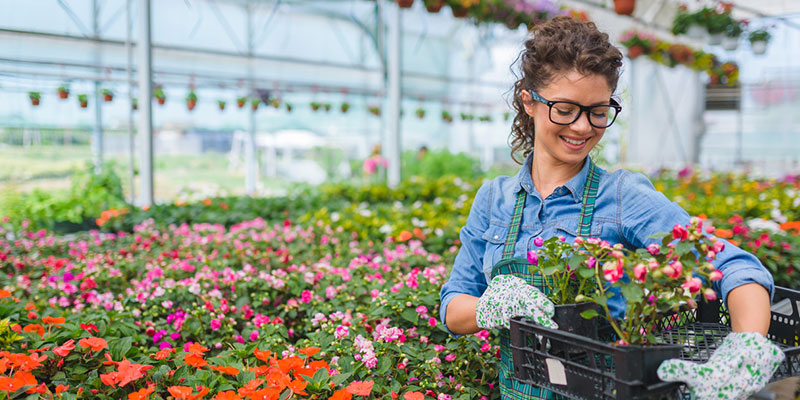温度和湿度监测器通常用于留意牲畜的条件
